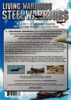 Living Warbirds: Steel Warriors DVD - Warbirds DVD, P-51 Mustang, P-40 Warhawk, CJ6A, F4U Corsair, Spitfire, Warbirds Video, Aircraft Video, Airplane Video, Plane Video, Airplane DVD, Planes DVD