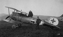 Airplane Picture - Albatros D.Va (serial D.5629/17)