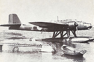 Warbird Picture - A Finnish-operated He 115.