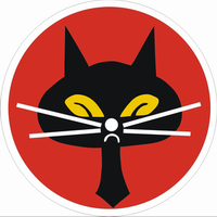 Airplane Picture - Black Cat Squadron official emblem