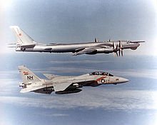 Airplane Picture - An F-14A Tomcat from VF-114 intercepting a Soviet Tu-95RT 