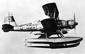Aircraft Picture - Arado Ar 95