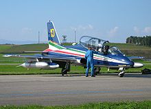 Airplane Picture - Frecce Tricolori MB-339A/PAN.