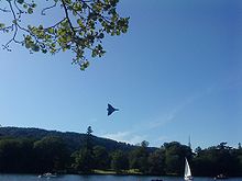 Airplane Picture - Windermere Airshow 2009