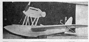 Airplane Picture - Macchi M.33