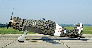 Warbird Picture - Preserved C.200 in the markings of 372 Sq. Regia Aeronautica