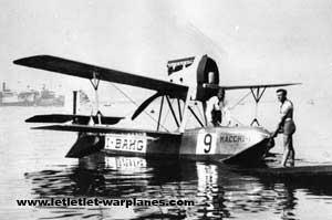 Warbird Picture - The M.17 (I-BAHG) that took third place in the 1922 Schneider Trophy race.