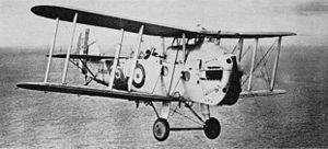 Warbird Picture - Blackburn Blackburn II