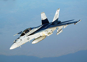 Warbird Picture - A US Navy F/A-18F Super Hornet conducts a mission over the Persian Gulf