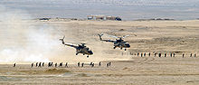 Airplane Picture - Two Egyptian Mi-17 helicopters after unloading troops during an exercise.