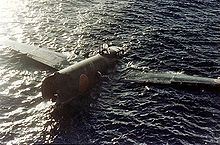 Airplane Picture - Crashed G4M1 floating at Tulagi 8 August 1942.