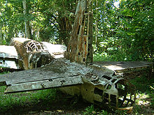 Airplane Picture - Wrecked Ki-49 on Papua New Guinea