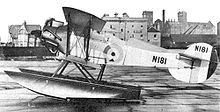 Airplane Picture - The Peto N181