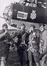 Airplane Picture - Croatian Air Force Legion (HZL) aircrew pose in front of their Dornier Do 17Z bomber in recognition of the unit's 1,000th sortie over the Eastern Front, 16th September 1942. The unit returned to Croatia in December 1942.