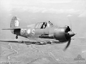 Warbird Picture - Boomerang from No. 5 Squadron RAAF