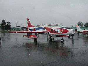 Aircraft Picture - T-1B in special paint scheme