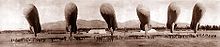 Aviation History - Hot Air Balloon - Gas balloons in 1919.