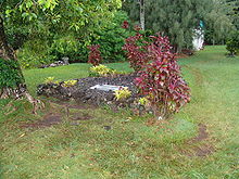 Aviation History - Charles Lindbergh's grave