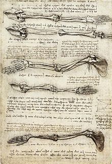 Leonardo da Vinci - Anatomical study of the arm, (c. 1510)
