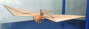 Aviation History - Felix du Temple de la Croix - Airplane of F�lix du Temple de la Croix, 1857. Mus�e de l'Air et de l'Espace.