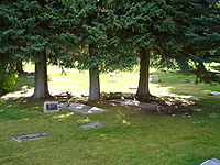 World War 1 Picture - Ernest and Mary Hemingway are buried in the town cemetery in Ketchum, Idaho.