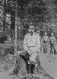 World War 1 Picture - Nicholas II, March 1917, shortly after the revolution brought about his abdication.