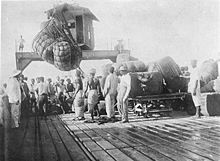 World War 1 Picture - Loading of cotton bales on the pier at Lome (1885)