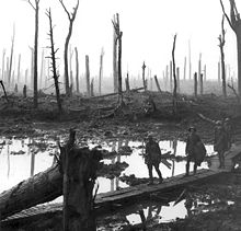 World War 1 Picture - Chateau Wood, Ypres, 1917