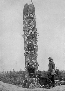 World War 1 Picture - German World War I observation post disguised as a tree.