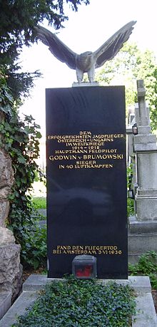 World War 1 Picture - The grave of Godwin Brumowski at Zentralfriedhof in Vienna, Austria.