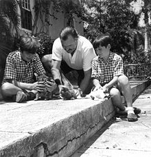 World War 1 Picture - Hemingway and sons Patrick (left) and Gregory, with three cats at Finca Vigxa ca. 1942-1943. The Hemingways kept cats in Cuba 1942-1960. The polydactyl cats at Hemingway's Key West house arrived after the family's departure in 1940.