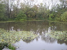 World War 1 Picture - 'Lone Tree Crater' in November 2009