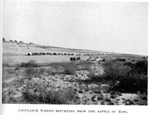 World War 1 Picture - Ambulance Wagons returning to El Arish from Rafa