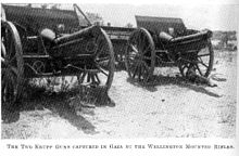 World War 1 Picture - Two Krupp Guns captured by the Wellington Mounted Rifle Regiment
