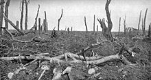 World War 1 Picture - The ruins of Pozixres looking north, 28 August