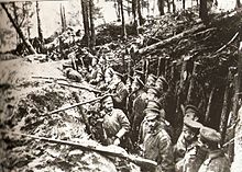World War 1 Picture - Russian trenches in the forests of Sarıkamış