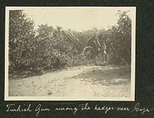 World War 1 Picture - Ottoman Gun among the hedges near Gaza