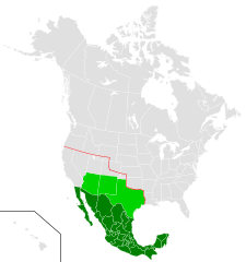 World War 1 Picture - Mexican territory in 1917 (dark green), territory promised to Mexico in the Zimmermann telegram (light green), and original Mexican territory (red line)
