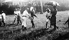 World War 1 Picture - New Zealand sailors removing the white strip from lava-lava, the insiginia of the Mau uniform, circa 1930