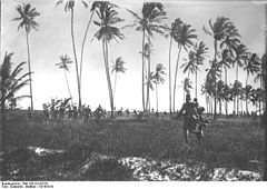 World War 1 Picture - Askari skirmish, 1914, possibly Tanga