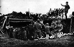 World War 1 Picture - Serbian artillery