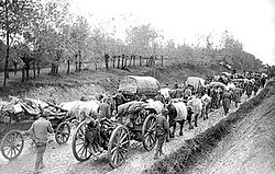 World War 1 Picture - Serbian Army during its retreat towards Albania