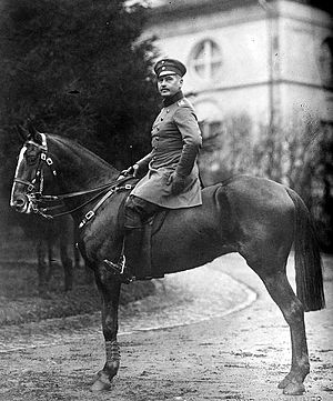 World War 1 Picture - Otto Liman von Sanders