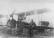 Airplane Picture - An unmarked D.IV, possibly a captured machine