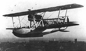 Airplane Picture - SM.62 bis