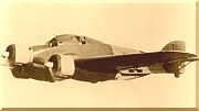 Airplane Picture - Savoia-Marchetti S.M.79-III