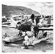 Airplane Picture - An Aichi E13A, probably from Kamikawa Maru's air unit, possibly photographed at Deboyne Island during the Battle of the Coral Sea.