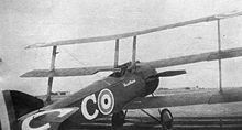 Airplane Picture - Raymond Collishaw's Triplane, serial N533. Collishaw flew several Triplanes, all named Black Maria