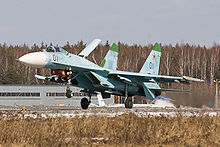 Airplane Picture - Su-27 landing at Kubinka, Russia