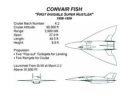 Airplane Picture: Fish design (1958/59)